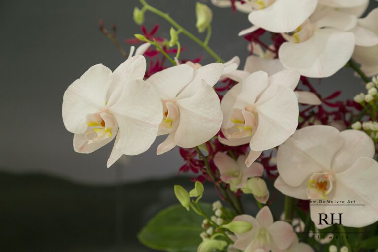 11號開幕桌花 / 高架花架 RH棣美